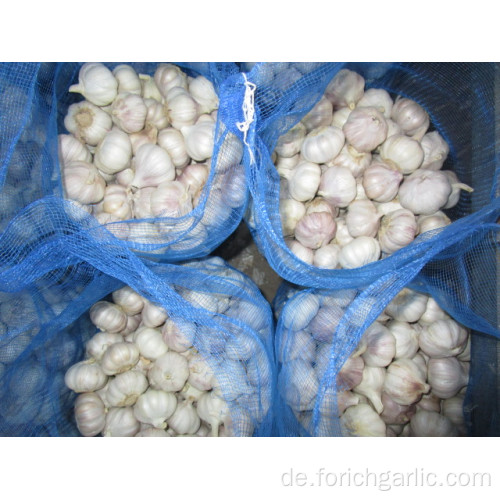 Loose Bag Normaler weißer Knoblauch von 10 kg